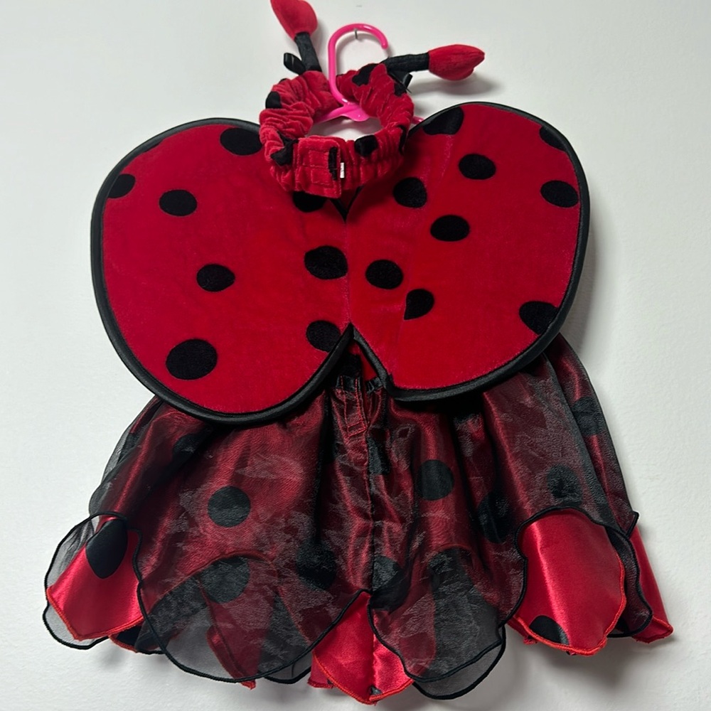 Lady Bug - Picture 2 of 2